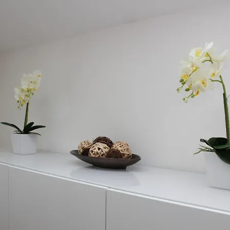 Lindpointner Lägenhet *