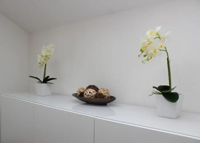 Lindpointner Apartamento *